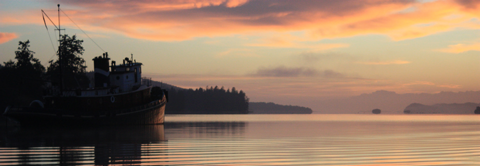 Welcome to Vantage Consulting