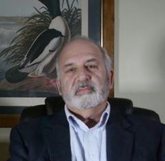 Chip’s Story About Thought and Business